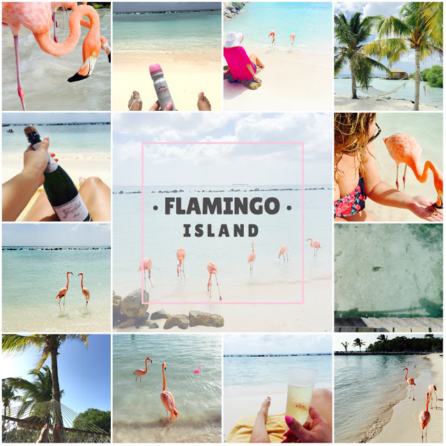 flamingo island aruba travel guide aruba travel blogger travel blog aruba city guide flamingo island aruba travel guide aruba travel blogger travel blog aruba city guide
