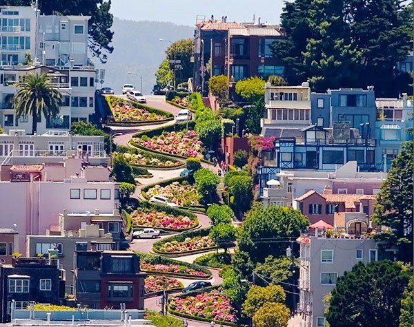 guide to san francisco 