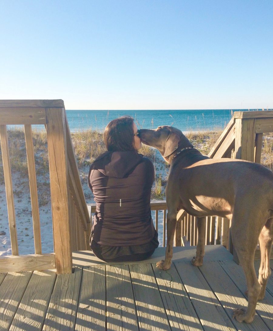 gulf shores dog friendly beach travel blogger