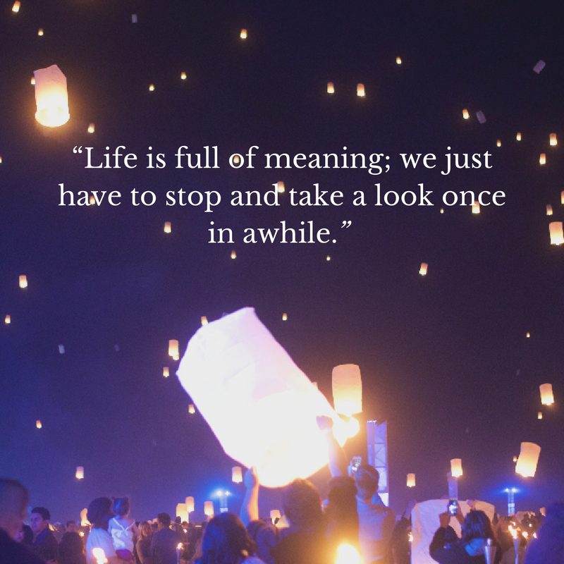 life is full of meaning we just have to stop and take a look once in awhile