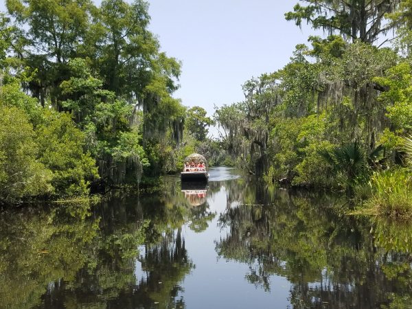 Take an airboat tour with Airboat Adventures in New Orleans.