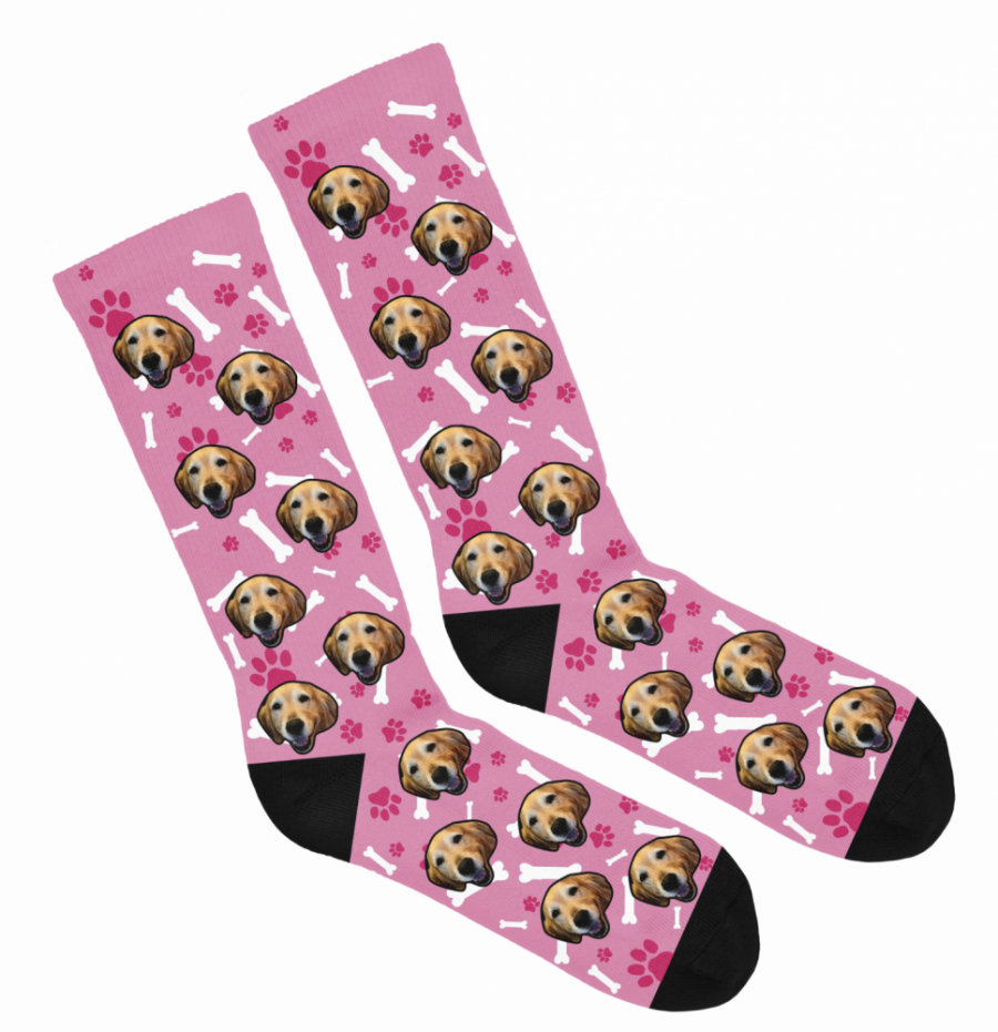 pupsocks gift for pet lovers and travelers 