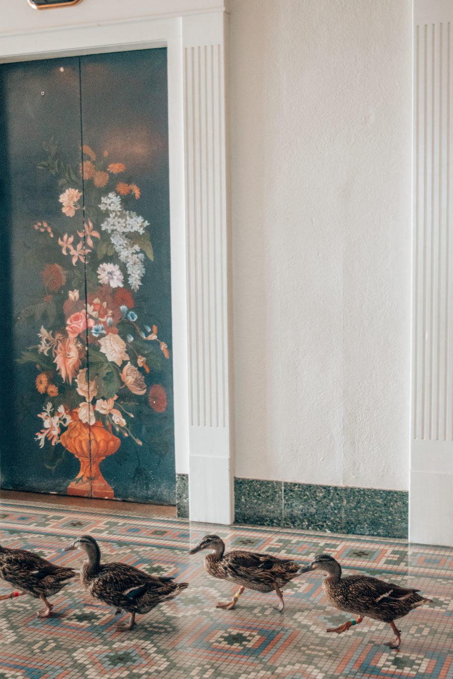 what it's like staying at the peabody hotel in Memphis Tennessee + THE MARCH OF THE PEABODY DUCKS verbal gold blog travel blogger