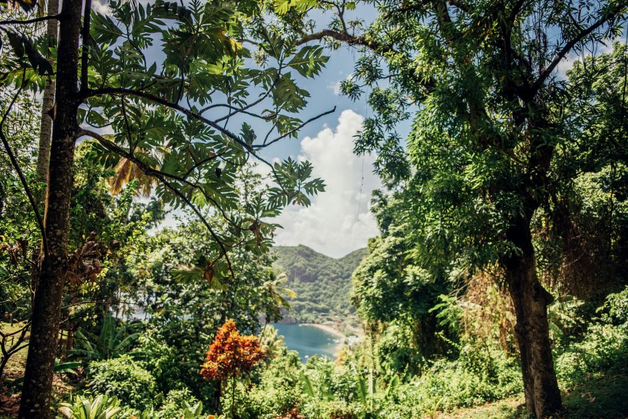 The Ultimate Travel Guide to St.Lucia travel blogger Saint Lucia vacation 