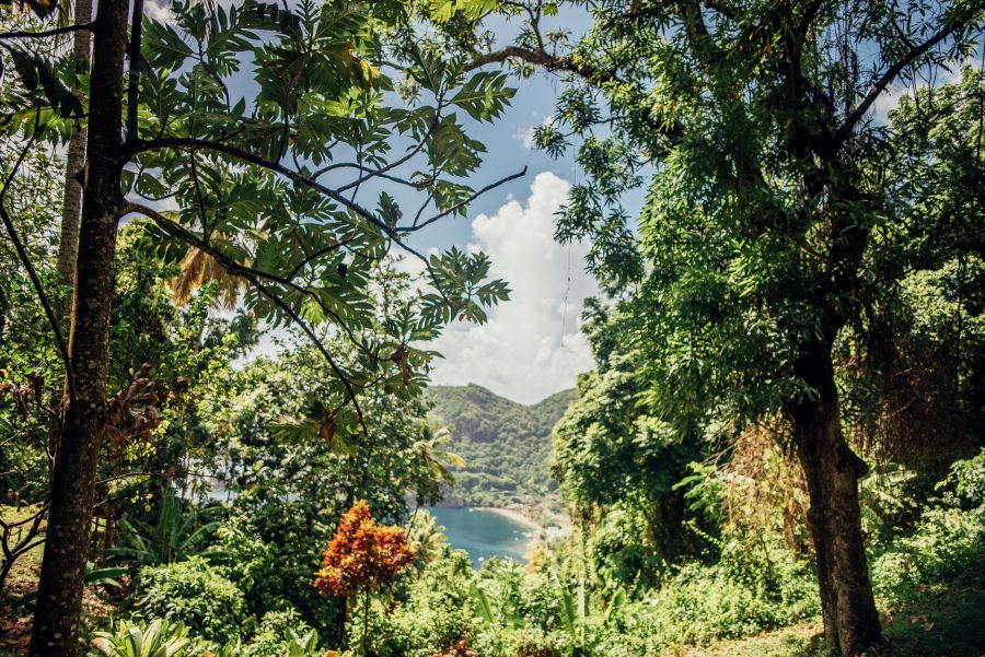 Saint Lucia waterfall st.lucia activities travel blogger Caribbean West Indies