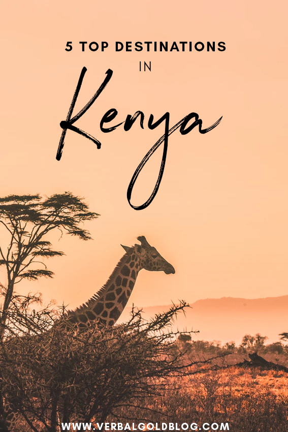 Planning a trip to Kenya and wondering what the best destinations are? Here are out five favorite places to visit in Kenya!