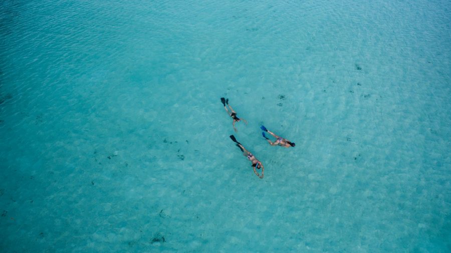 Visiting Turks and Caicos is worth it just for its incredible snorkeling scene!
