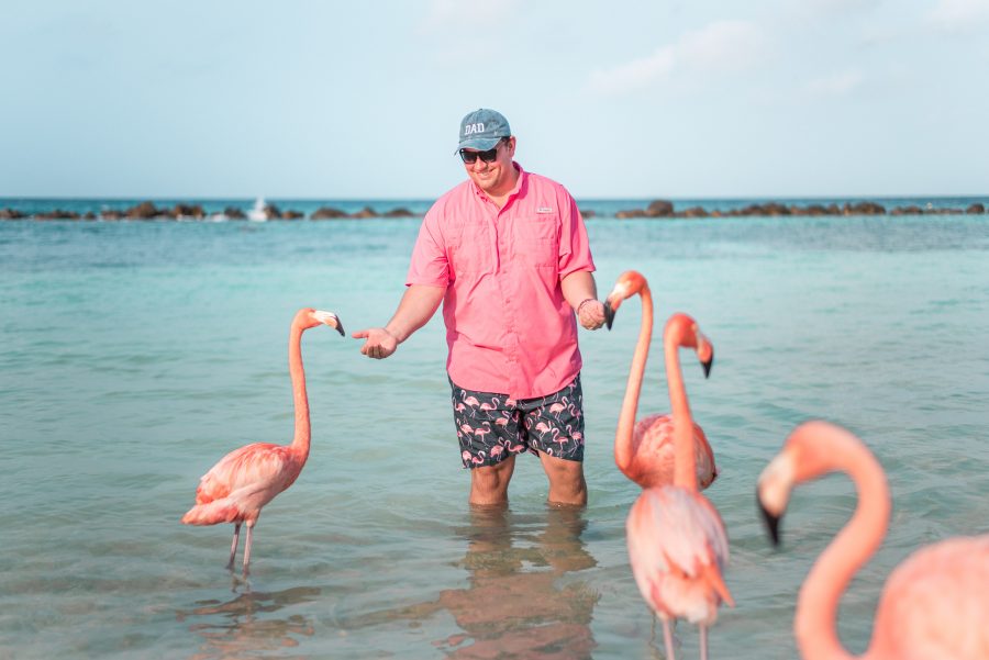 My husband feeding flamingos at Renaissance Island in Aruba