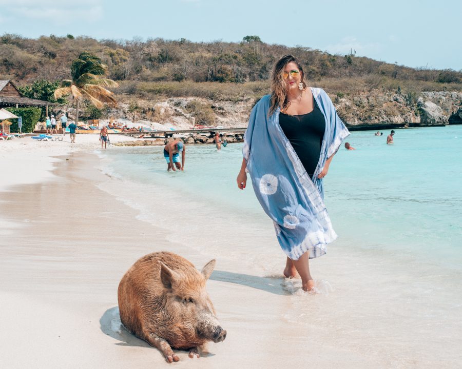 Wondering where to find the famous pigs of Curacao? I share their location on this post as well as some other incredible things to do in Curacao