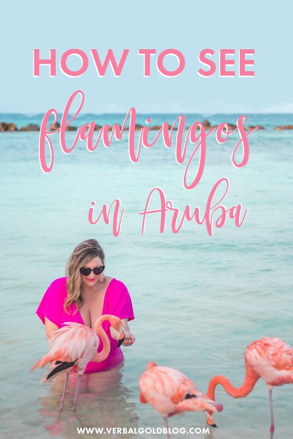 How to visit Flamingo Beach in Aruba + the best outfit ideas for the best photos on Renaissance island!