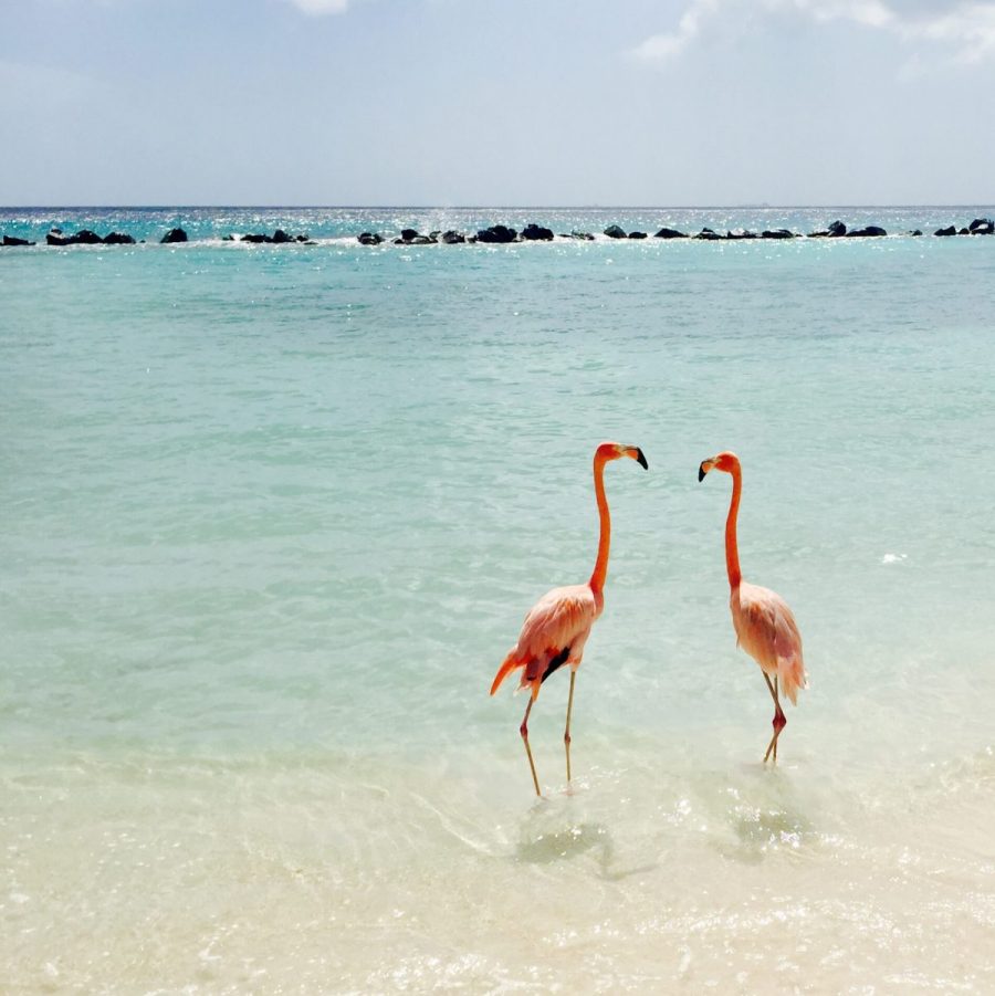 Aruba is a perfect destination for a romantic Caribbean holiday