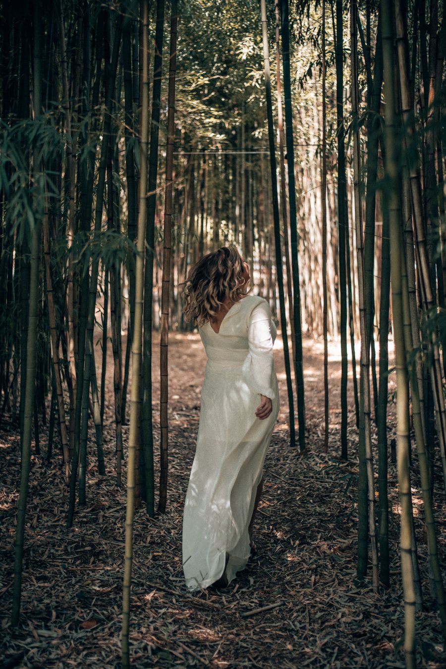 The bamboo forest around the Barnsley Resort