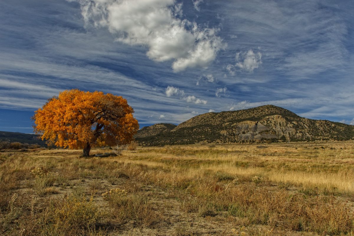 Taos is an awesome places in the south to get a taste of fall foliage and autumn colors!