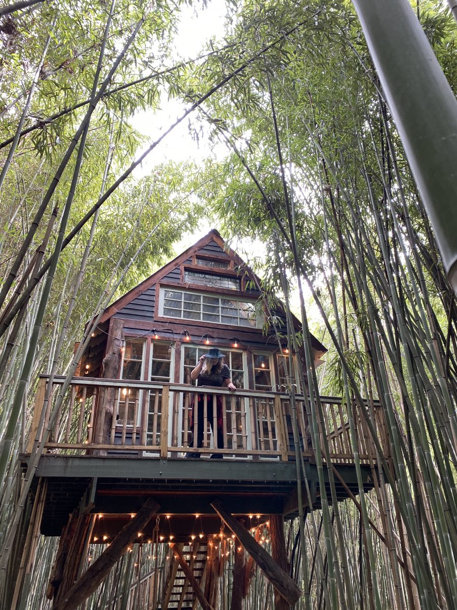 The amazing alpaca treehouse in Atlanta, one of the most wishlisted airbnbs in the world