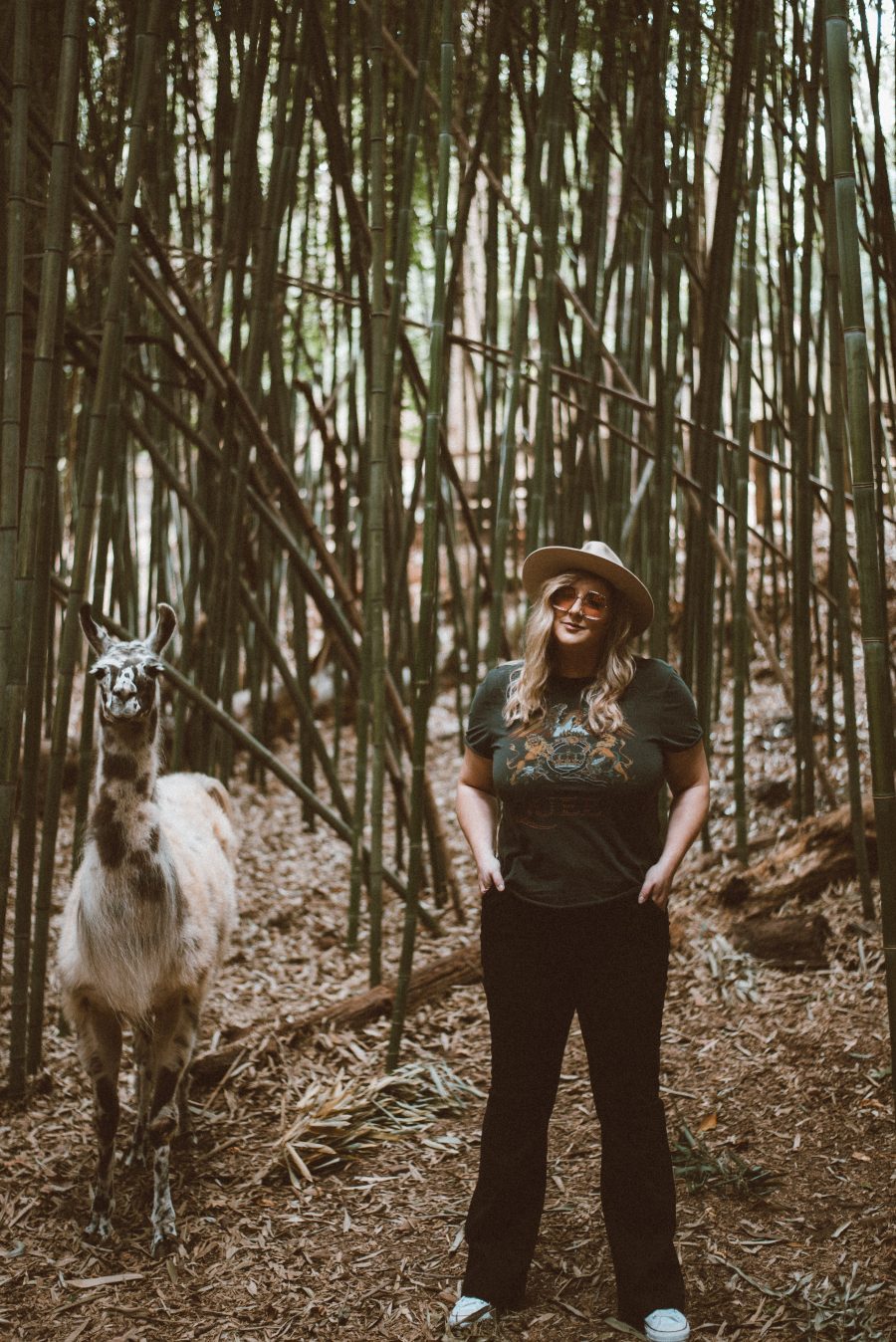 Meeting llamas and alpacas at a treehouse in atlanta