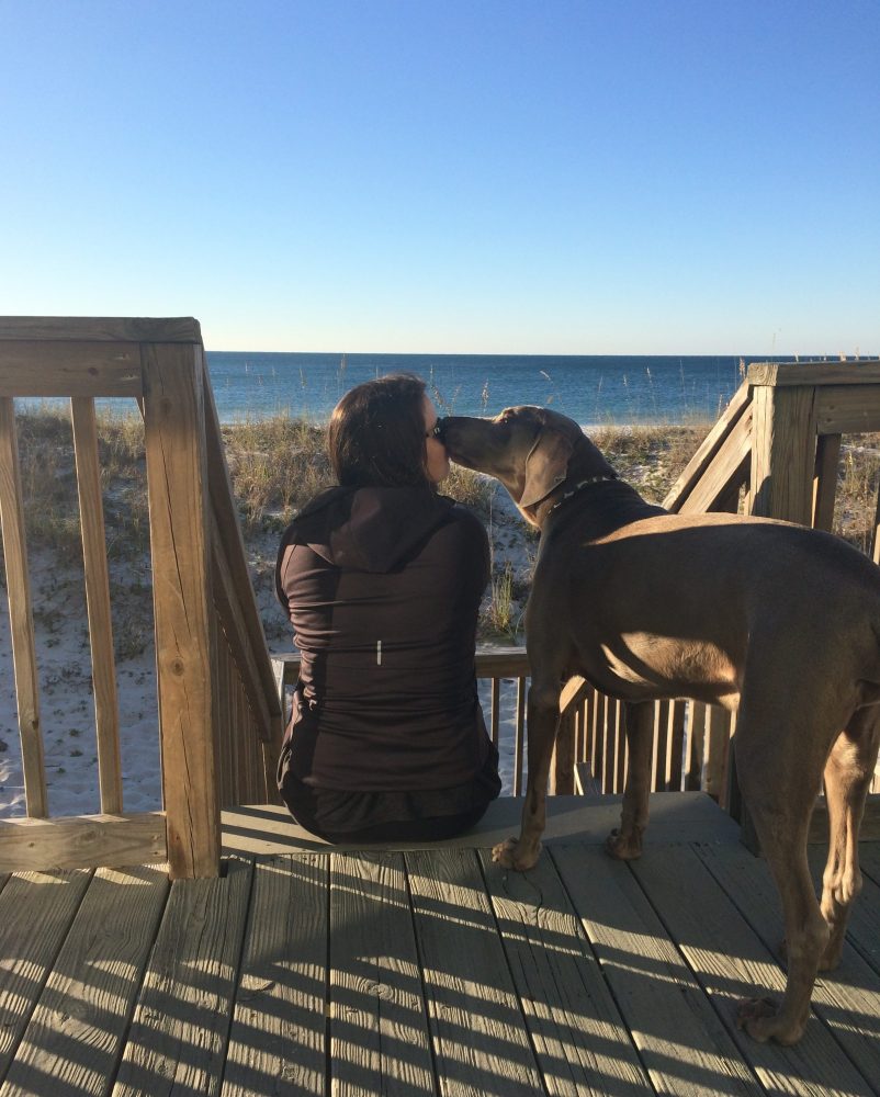 gulf shores dog friendly beach travel blogger