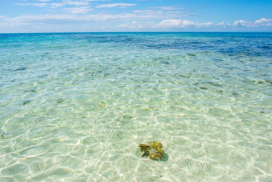 Crystal clear water of Ranguana Caye #RanguanaCaye #Belize