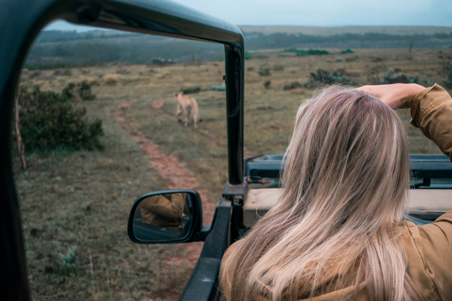 Safari jeep in South Africa