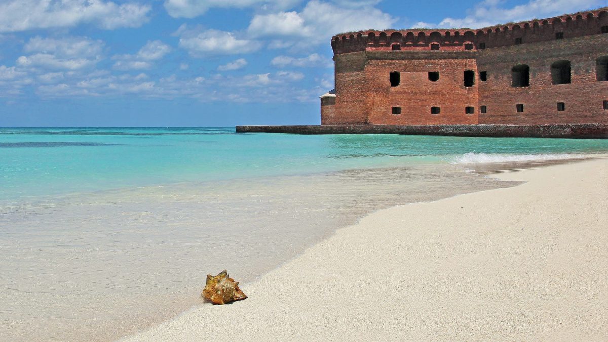 dry tortugas national park 
