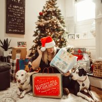 girl with two dogs wrapping presents verbal gold blog